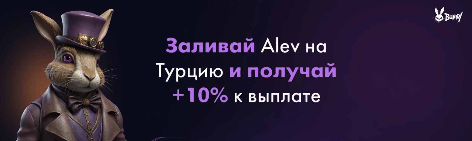 profile banner